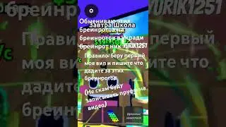 Кто трейд пишите в комментарии что дадите за этих бреинротов в укради бреинрот