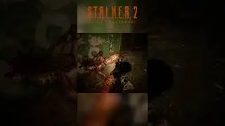 😱 Stalker 2 Developers Actually Added This #stalker2