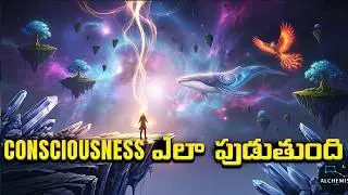 Consciousness secret and IIT Theory explained , Telugu Alchemist New video, #consciousness