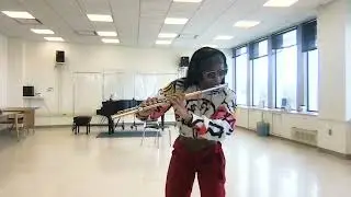 Ian Clarke, Tuberama | Coreisa Lee, flute ft. Nathan Wilson