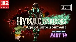 Part 14 - Shadows in The Snow | Hyrule Warriors: Age of Imprisonment | Gameplay