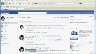 Facebook Privacy Scanner for Firefox 3.5.9 on WinXP