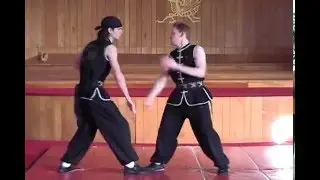 Eight Step Preying Mantis Kung Fu