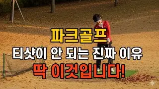 고수들은 치기 전에 이것부터 봅니다   #파크골프스윙 #파크골프배우기