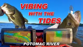 Tournament Fishing on The Potomac River - Vibing With The Tides