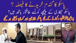 PASSCO going to purchase wheat 2025 ll how much wheat stock carrying by PASSCO in 2025