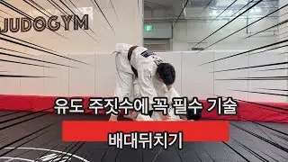 유도/주짓수 에 꼭 필요한 기술 배대뒤치기