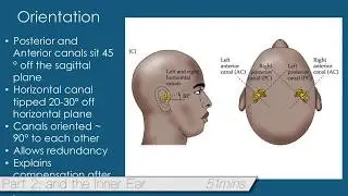 MdDS & GyroStim Seminar Trailer