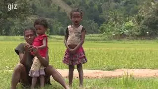 Madagascar: Increasing income for vanilla farmers
