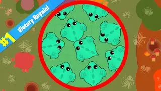 Mope.io BATTLE ROYALE 1V1 PRIVATE SERVER MINI GAME! New Game Mode Update Soon?! (Mope.io Gameplay)