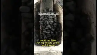 How high is the price of pulverized coal pressed into a ball#machine #coal #briquettes