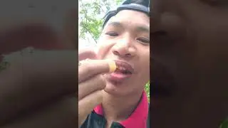 Chinese Bayberry