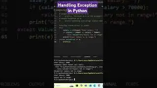 Handling Exception in Python using raise keyword 