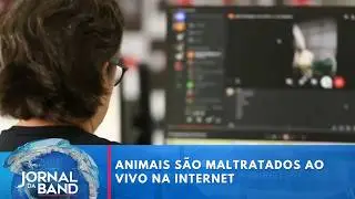 Animais são maltratados ao vivo na internet | Jornal da Band