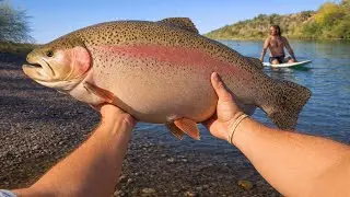 Did NOT Expect Trout Like This in the Salt River...