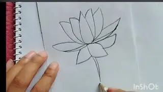 How to draw a water Lily /Flower drawing 