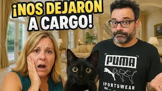 HOY VAMOS A CUIDAR DE UNA GATA Y A COMPRAR COSAS KETO | Vlog Diario