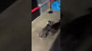 Чувак, я буквально вырубился 😮