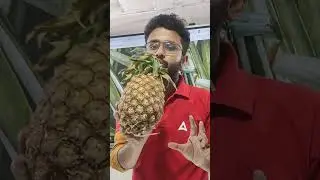 Pineapple 🍍 के exam में आने वाले Questions #Daily Fact&nbsp;by&nbsp;akash&nbsp;sir
