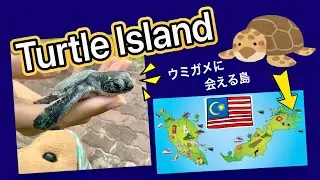 Turtle Island Park (Sandakan Malaysia) ウミガメに会える島 in マレーシア