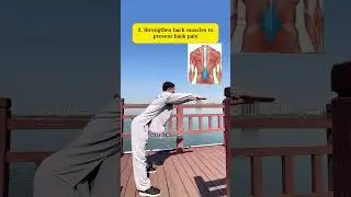 Strong your kidneys,full of energy #martialarts #health #taichi #qigong #kungfu