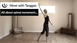 All about spinal movement