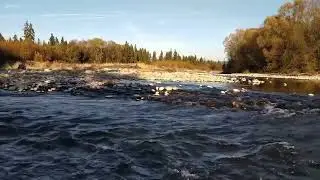 Water flows from upstream, flowing through the stream near my house