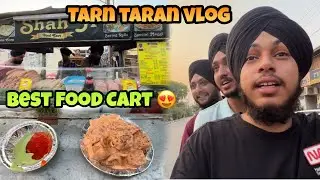 BEST *FOOD CART* IN TARN TARAN 😍 || TARN TARAN VLOG || DX shubh
