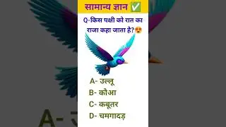 सामान्य ज्ञान 😍✅ || #gkquestions #gkquiz #ytshorts #gkinhindi #gkfacts #gkstudy #gkchallenge #mcqgk