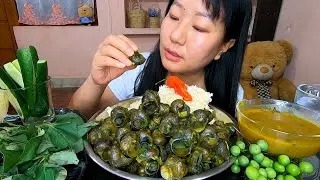 Snail Curry || Fish Mint Leaves || Wild Eggplant || Raw Cucumber And Extra snail curry Gravy ||