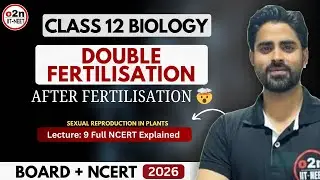 Double Fertilisation & Post-Fertilisation Events 🌸 | Class 12 Biology | NEET 2026