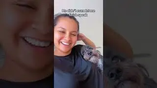 My Velcro Dog🤣 #dog#funny#funnyanimals#funnypets#animals #pet #longervideos