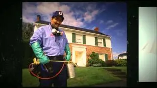 Pest Control Glasgow | Call 0141 280 30 80 Today!