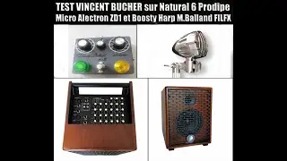 Les Tests de Major Pigalle avec le Micro Alectron et Boosty harp Marko Balland FiLFX