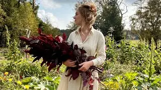 De eerste week van Esra op de boerderij || Dutch homestead VLOG 112