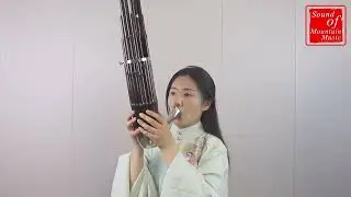 Professional Level Chinese Ancient Instrument Sheng 21 Pipes With Case 笙