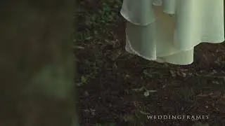 Boda Alqu&iacute;mica, Vestido de poder