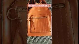 Ajio Fig brand's mini backpack🤎✨| #shorts #trending #cute #mini #ajio #youtubeshorts #subscribe