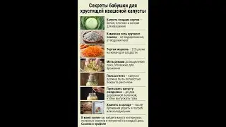 Секреты идеальной квашеной капусты