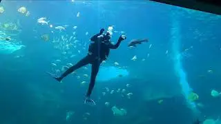 Two ocean Aquarium, cape town, South Africa #9