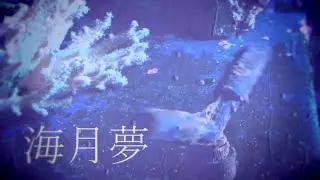 【MV】アクトウ/ 海月夢（feat NOTサワー）