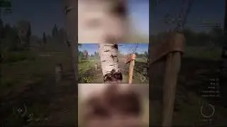 Surviving with Limited Resources  Epic Survival Game Moments