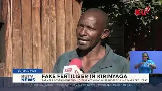 Fake fertiliser in Kirinyaga as Farmers buy goat manure mixed with sand from NCPB depot in Embu