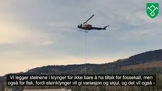 Tretten bru - milj&oslash;tiltak