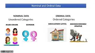 Bar Chart/ Frequency Distribution for Nominal and Ordinal Data