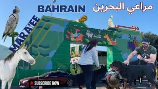 معرض مراعي البحرين ٢٠٢٤ | MARAEE BAHRAIN 2024 | dogs Show | Animals