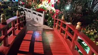 OurNightTrip to FlowerDome@GardensByTheBay