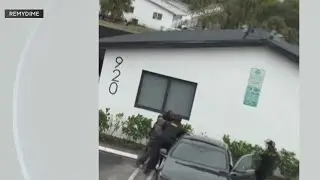 Broward Sheriff's deputies caught on camera beating detainee