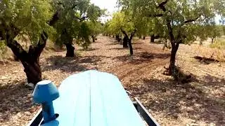Tractor Ebro Super 55 con cultivador. Almendros