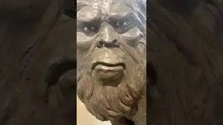 BIGFOOT spotted on video in Oklahoma! Sasquatch is real! #shorts #bigfoot